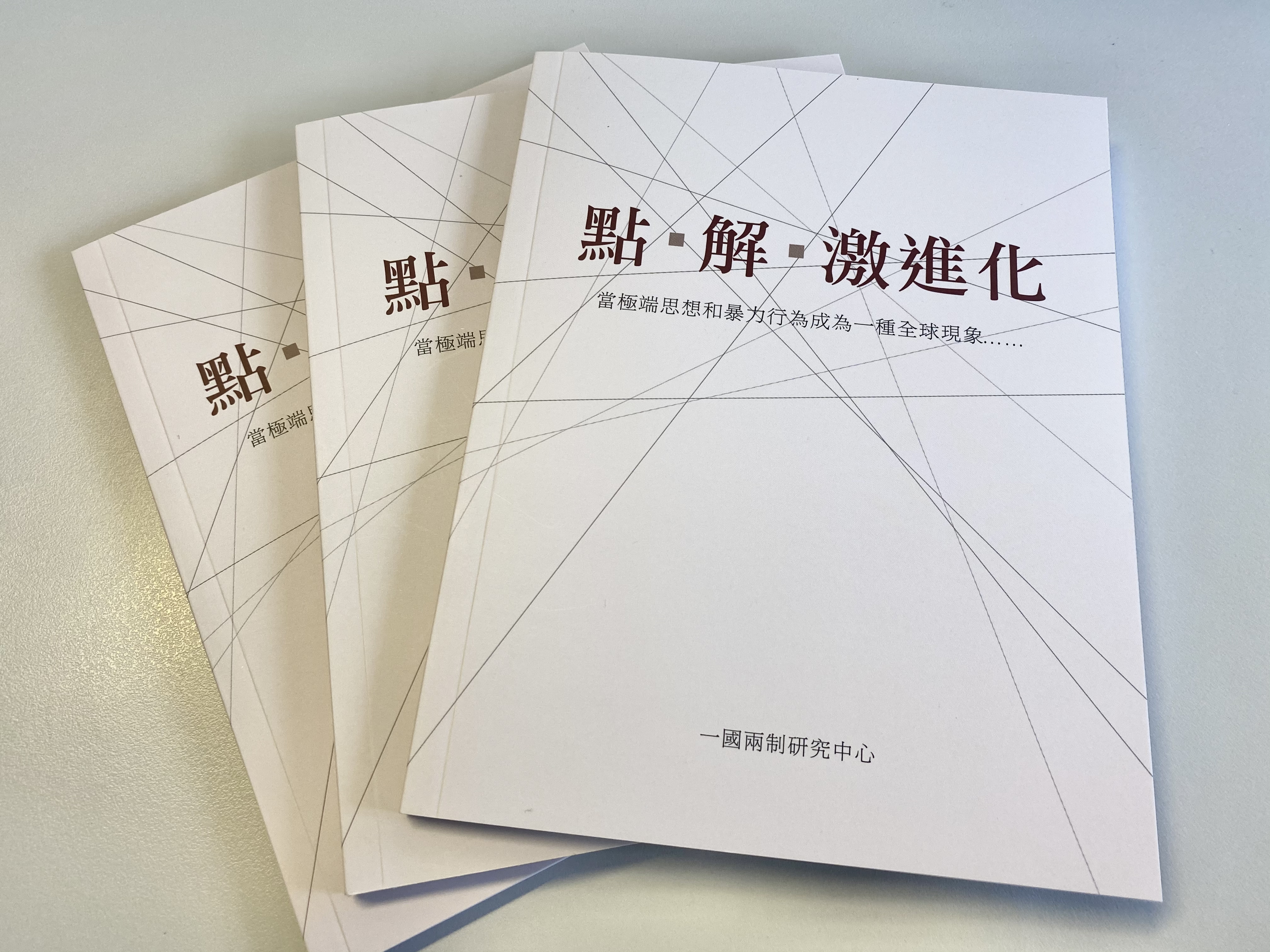 《點·解·激進化》報告